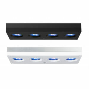 AI Hydra 64 HD LED FACE DOWN