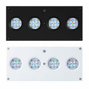 AI Hydra 64 HD LED bottom