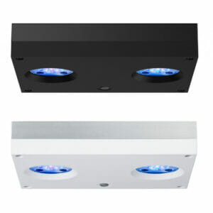 AI Hydra 32 HD LED face down