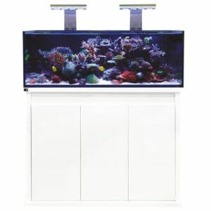 D-D-Reef-Pro-1200-Gloss-White