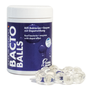 Fauna Marin Bacto Reef Balls 100ml