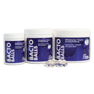 Fauna Marin Bacto Reef Balls