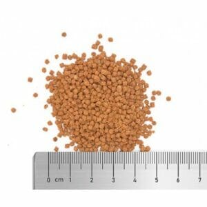 Fauna Marin Ultra LPS Grow and Colour