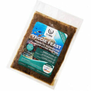 FIRST BITE Veggie Feast 250G