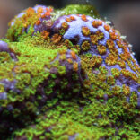 October 07 taken by RB 020